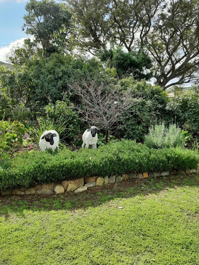 Doodle Dens Hotell Barrydale Eksteriør bilde